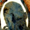 397s – Cogito ergo sum