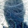 404s – Blue brain
