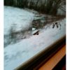 69 – Le train des neiges (wacquis)