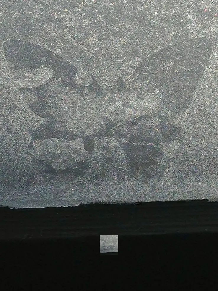1161 papillondenuit
