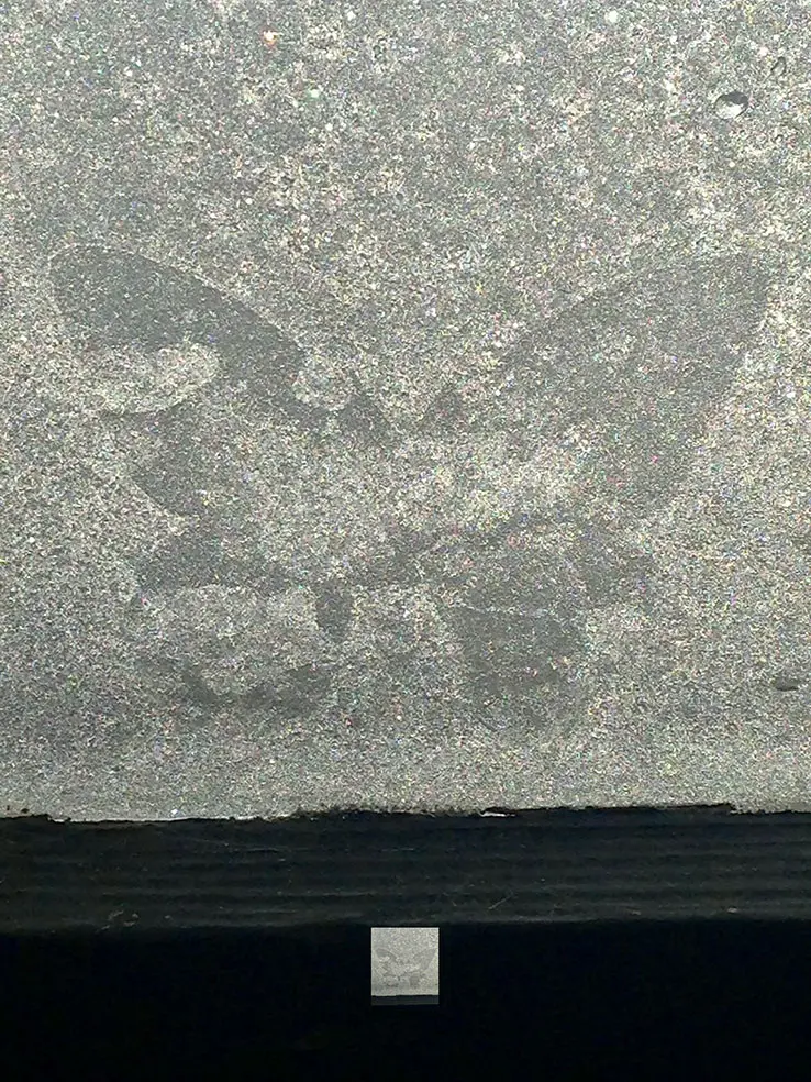 1163 papillongrogy
