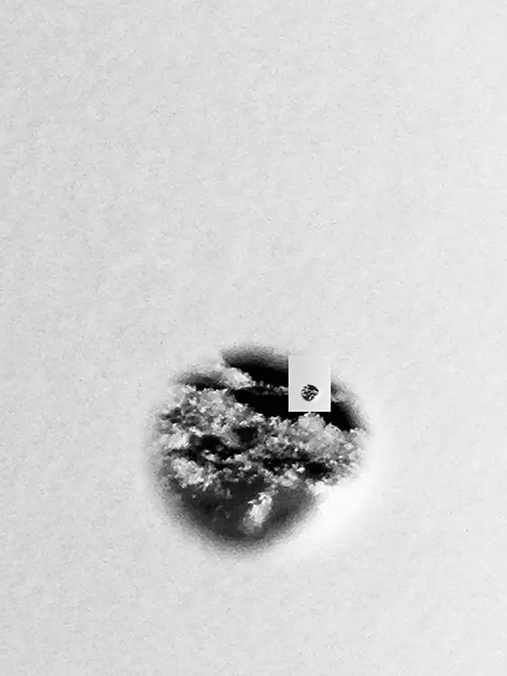 1263 diamantneige